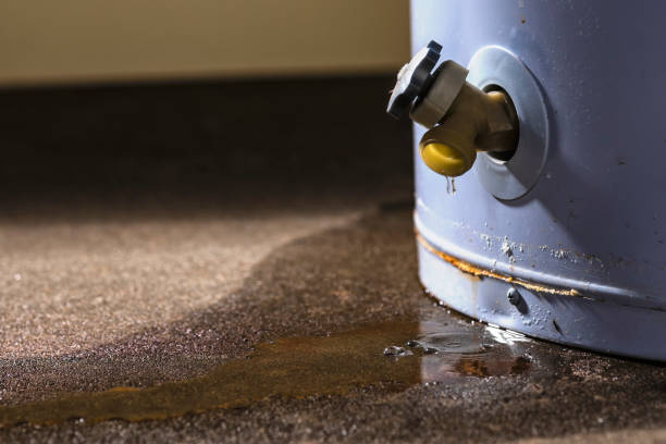 Best Professional water damage repair  in Lebanon, TN