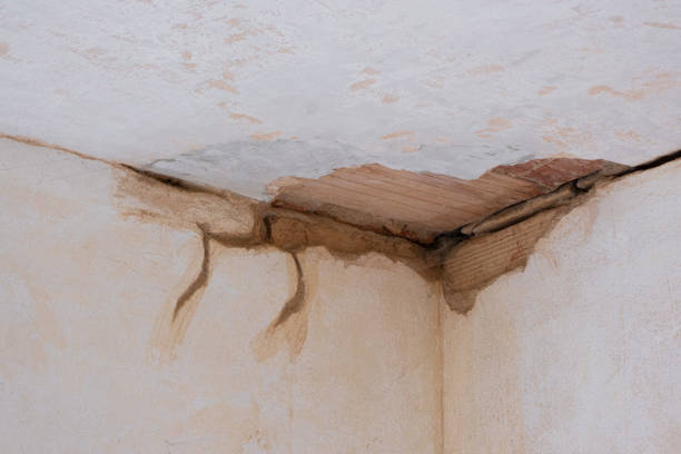 Best Water damage restoration mold remediation  in Lebanon, TN