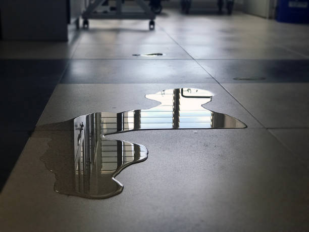 Best Water damage restoration cost  in Lebanon, TN