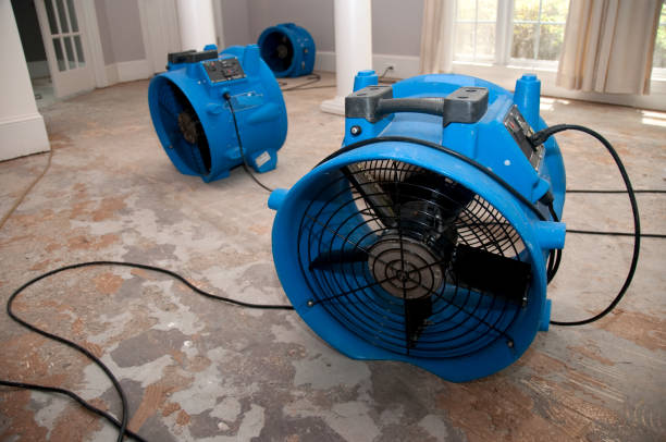 Best Flooded house restoration  in Lebanon, TN