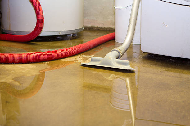 Best Basement water damage restoration  in Lebanon, TN