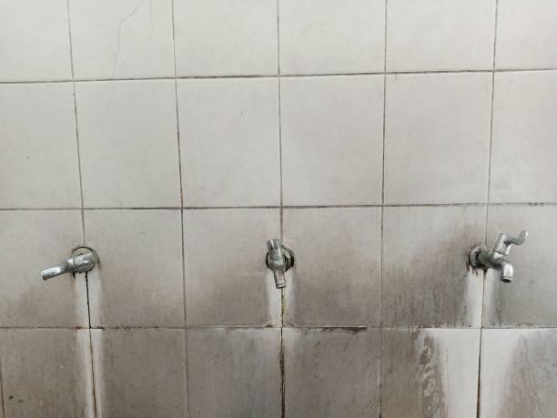 Carpet water damage restoration in TN