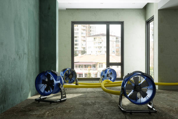 Best 24-hour water damage restoration  in Lebanon, TN